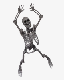 Skeleton Png - Spooky Skeleton Transparent Png, Png Download, Free Download