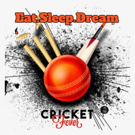 Anna › Cricket Lovers - Cricket Photo For Dp, HD Png Download, Free Download