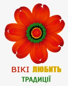 Wili Lovers Traditions - Barberton Daisy, HD Png Download, Free Download