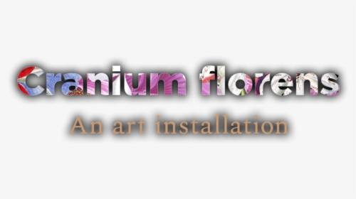 Esr Cranium Florens - Graphics, HD Png Download, Free Download