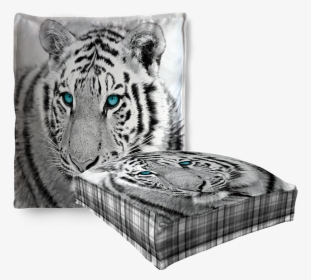 Transparent Tiger Scratch Png - Siberian Tiger, Png Download, Free Download