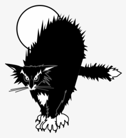Black Cat - 13 Rebels Mc, HD Png Download, Free Download