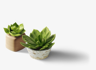 Design, HD Png Download, Free Download
