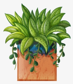 Small Plants For - Potted Plant Clipart, HD Png Download, Free Download