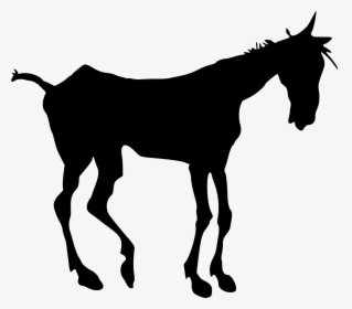 Silueta Vector Cabeza Burro Clipart , Png Download - Old Horse Silhouette, Transparent Png, Free Download
