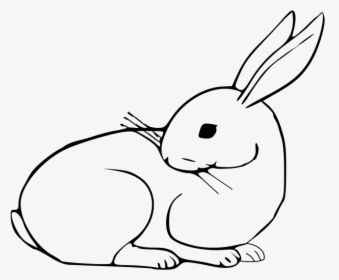 Easter Rabbit - Rabbits In Cartoon Black And White, HD Png Download, Free Download