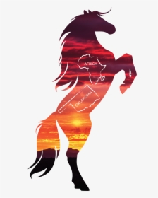 Black Stallion Horse Silhouette, HD Png Download, Free Download