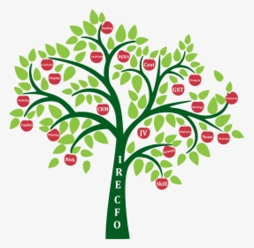 We Are Team Of Diverse Professionals Having Rich And - Printable Tree For Family Tree, HD Png Download, Free Download