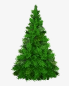 Christmas Pine Tree Transparent Png - Pine Christmas Tree Transparent, Png Download, Free Download