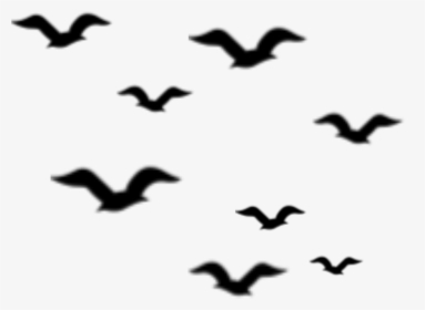 Ftestickers Birds Silhouette Flock Bird Animal - Flock Of Birds Clipart, HD Png Download, Free Download
