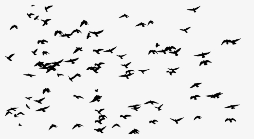 Birds, Flock, Silhouette, Animals, Flying, Migrating - Public Domain Birds Migrating, HD Png Download, Free Download