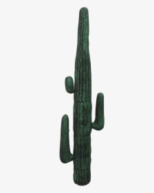 Cactus - San Pedro Cactus, HD Png Download, Free Download