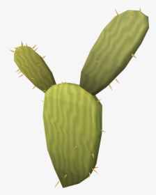 The Runescape Wiki - Osrs Cactus Water, HD Png Download, Free Download