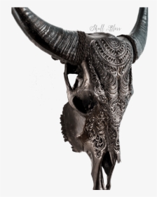 Skull Variant Skull Only - Black Carved Cow Skull, HD Png Download, Free Download