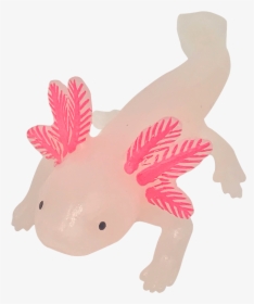 Transparent Axolotl Png - Yowie Axolotl Toy, Png Download, Free Download