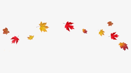 Fall Border Transparent Leaves Mart Clip Art Png - Transparent Clipart Autumn Leaves, Png Download, Free Download