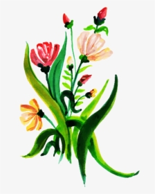 Tulip, HD Png Download, Free Download