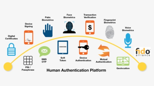 Identityx - Biometric Authentication Methods, HD Png Download, Free Download