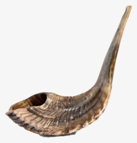 Shofar Transparent Png - Shofar, Png Download, Free Download