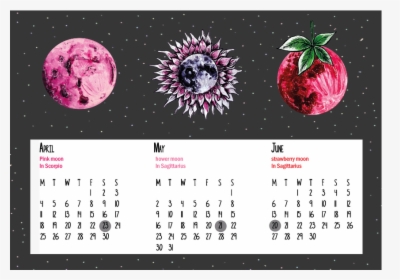Transparent 2016 Calender Png - Strawberry, Png Download, Free Download