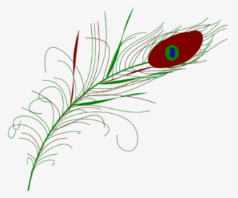 Vector Art Clipart Peacock Feather - Drawing, HD Png Download, Free Download