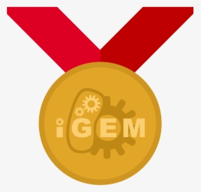 Team Bostonu Hw Igem - Gold Medal Igem, HD Png Download, Free Download