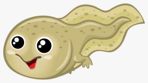 Tadpole Art Transparent, HD Png Download, Free Download