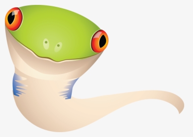 Tadpole Logo - Cartoon, HD Png Download, Free Download