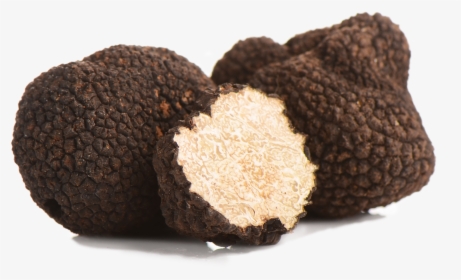 Black Truffle Transparent, HD Png Download, Free Download