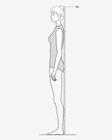 This Figure Shows The Measurement Of The Body Height - Figure Drawing, HD Png Download, Free Download