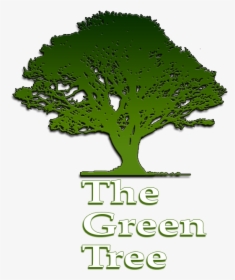 Green Tree Restaurant Chillicothe Ohio Logo, HD Png Download, Free Download