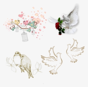 #lovebirds #birds #wedding - Dove With Rose Png, Transparent Png, Free Download