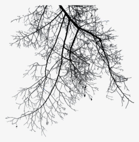 Branch Png File - Winter Tree Branches Png, Transparent Png, Free Download