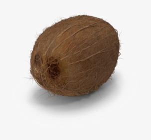 Coconut Png Image Hd - Wood, Transparent Png, Free Download