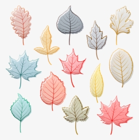 Autumn Leaves, Fall Leaf, Maple, Birch, Oak, Autumn - Maple Leaf, HD Png Download, Free Download