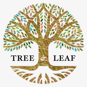 Transparent Flying Leaves Png - Capaces Leadership Institute, Png Download, Free Download