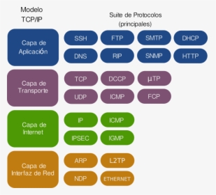 Suite De Protocolos Tcpip - Protocolos Del Modelo Tcp Ip, HD Png Download, Free Download