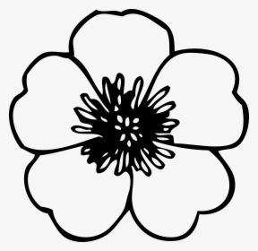 Simple Flower Clipart Black And White - Poppies Black And White, HD Png Download, Free Download
