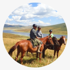 Horse Riding Holidays In Kazakhstan - Stallion, HD Png Download, Free Download