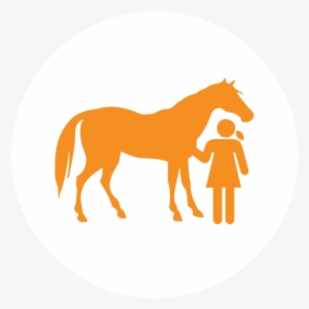 Transparent Horse Icon Png - Small Horse Silhouette, Png Download, Free Download