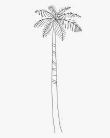 Tree 4073d View"  Class="mw 100 Mh 100 Pol Align Vertical - Line Art, HD Png Download, Free Download