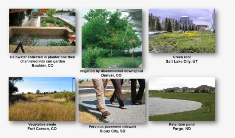 Green Infrastructure In Cities Across The United States - Tree, HD Png Download, Free Download