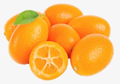 Fresh Kumquat - Kumquat Png Transparent, Png Download, Free Download