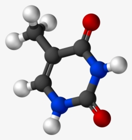 Thymine 3d Balls - Adenine Png, Transparent Png, Free Download