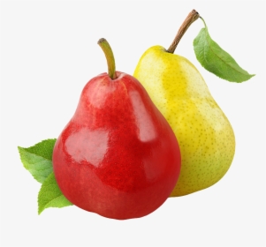 Asian Pear Organic Food Fruit Stock Photography - Лийр Жимс, HD Png Download, Free Download
