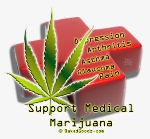 Medical Marijuana, HD Png Download, Free Download
