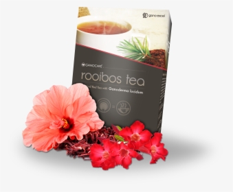 Rooibos Tea Gano Excel, HD Png Download, Free Download