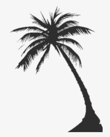 Palm Tree Silhouette Png - Vector Palm Tree Png, Transparent Png, Free Download