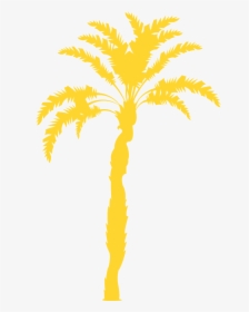 Palm Tree, HD Png Download, Free Download