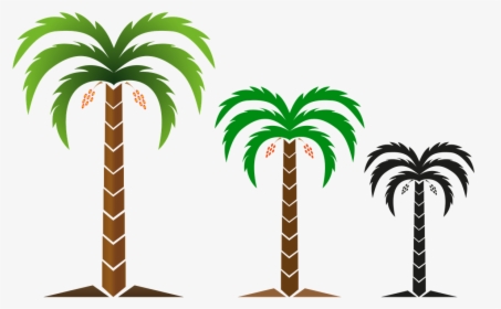 Tree, Nature, Png Image, Logo, Free Illustrations,free - Attalea Speciosa, Transparent Png, Free Download